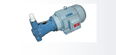 CY-Y pump motor group series