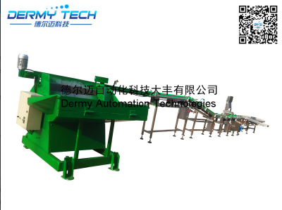 DEM030 automatic feeding + transportation + weight + grading