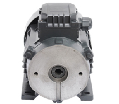 Electric machinery