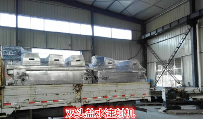 Full automatic double head saline injection machine