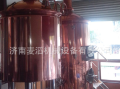 Beer brewing equipment