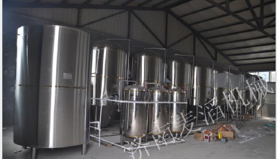 Bar beer brewing equipment 500L