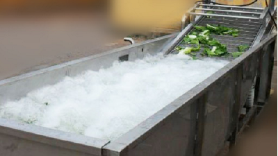 Vegetable washing machine