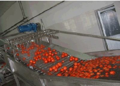 Slope type bag vegetable washing machine