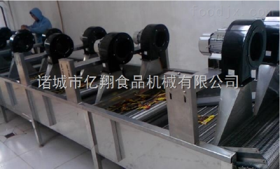 Fruit and vegetable cleaning equipment production line