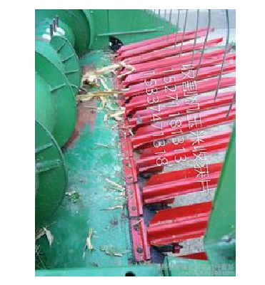 Red Sorghum scion plate