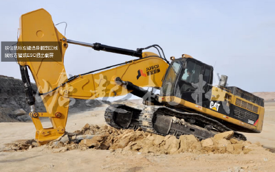 Rock arm bucket