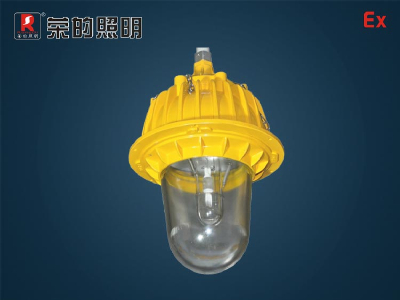 BR9130 infield light explosion-proof lights