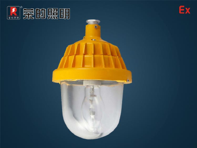 BR9200A proof platform lamp