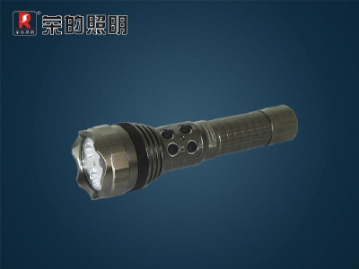 BR3800 multifunction camera flashlight