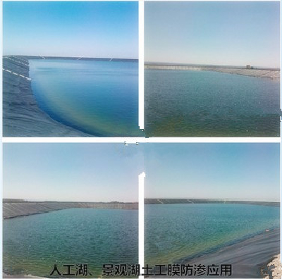 Factory direct composite geomembrane 300g lotus pool / ponds /geomembrane membrane two cloth of a film