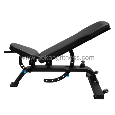 Bench & Glute Ham Developer
