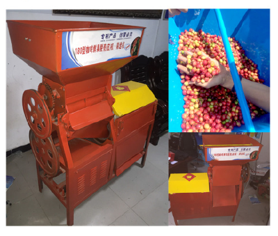 Fresh cacao bean shelling machine huller