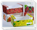 polypropylene plastic multi wall packing box for vegetable