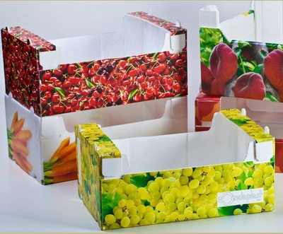 Non-toxic pp corrugated plastic boxes for fruit packaging with ISO,FDA certificate