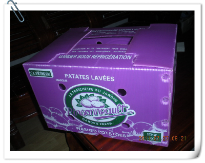 Non-toxic pp hollow plastic boxes for fruit packaging with ISO,FDA certificate