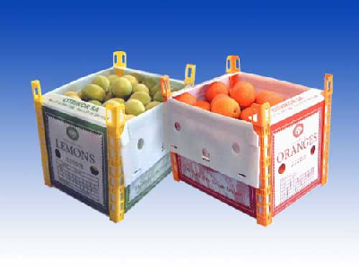 Non-toxic pp coreflute plastic boxes for fruit packaging with ISO,FDA certificate