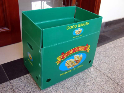 Eco-friendly pp corrugated plastic boxes for fruit packaging withISO,FDA certificate