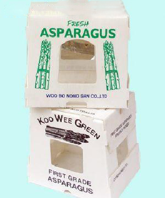 Eco-friendly pp coroplast plastic boxes for fruit packaging with ISO,FDA certificate