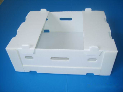 pp fluted plastic fruit storage box foldable