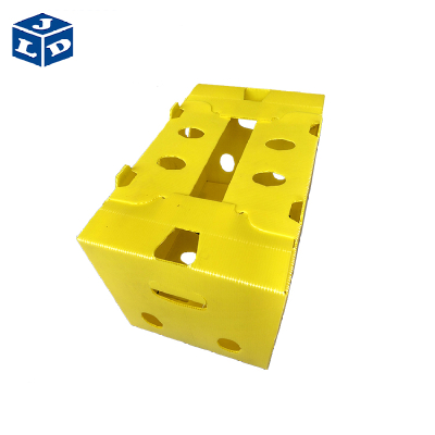 foldable pp hollow plastic fruit storage box