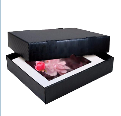 best price polypropylene hollow plastic box foldable