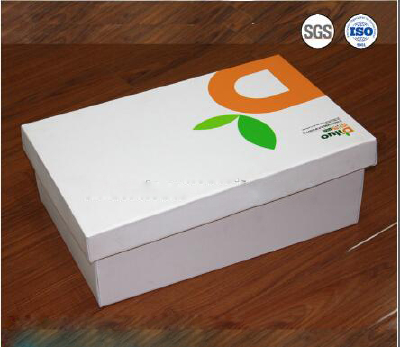 best price polypropylene coroplast plastic box foldable