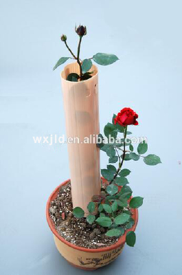 Eco-friendly pp coroplast plastic tree guard