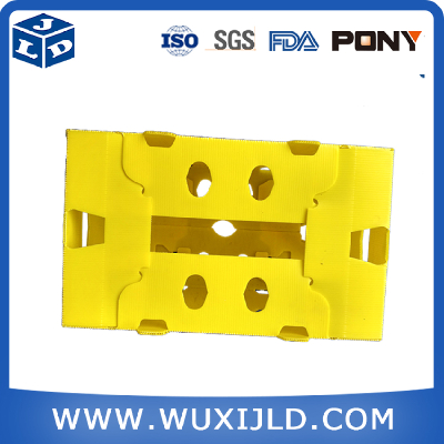 polypropylene plastic corrugated packing box for fruit