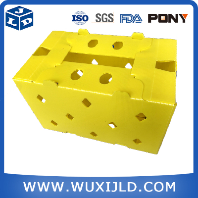 polypropylene plastic hollow packing box for vegetable
