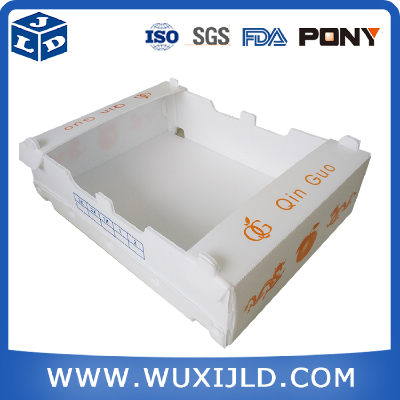 polypropylene plastic coreflute packing box for vegetable