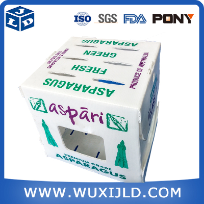 polypropylene plastic correx packing box for vegetable