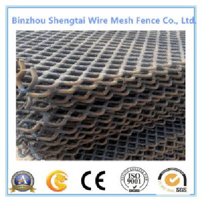 Various Size Stainless Steel Mining Wire Mesh with SGS