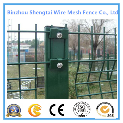 PVC/PE Coated Welded Iron Wire Mesh Fence with TUV Certificate