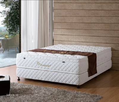 hot-selling vogue ornamental memory foam mattress custom madeproprietary mattress for body shape improvement