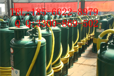 BQW110KW Flame-proof Sewage & Desilting Submersible Pump For Mine
