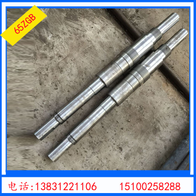 Jia fountain pump industry supply 65 ZGB vertical liquid slurry pump shaft