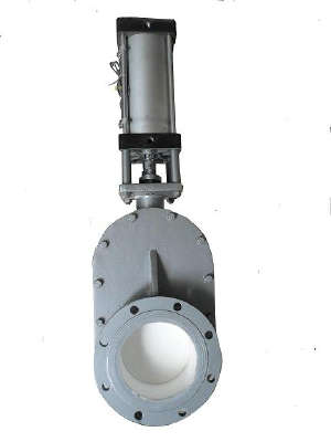 Ceramic Double Plate Gate Valve
