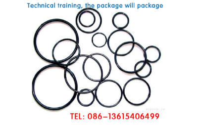 Coated O-rings