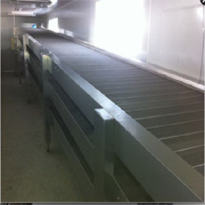 Chain conveyor 304 pure stainless steel production