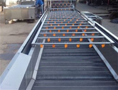 Vegetable finishing conveyor