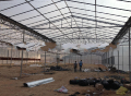 Greenhouse edible fungus cooling