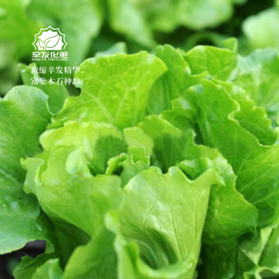 humic acid and fulvic acid organic fertilizer agriculture use