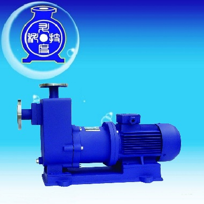 Magnetic pump