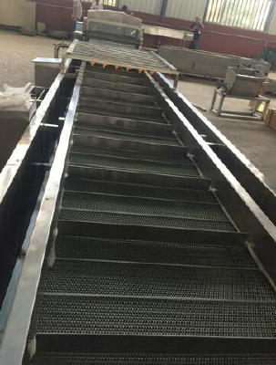 Automatic vegetable washing line