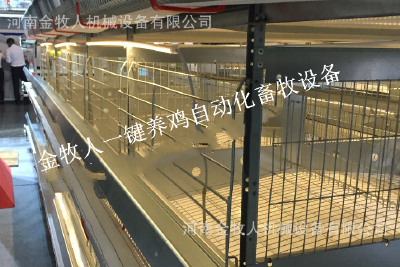 Type H stacked cage for egg