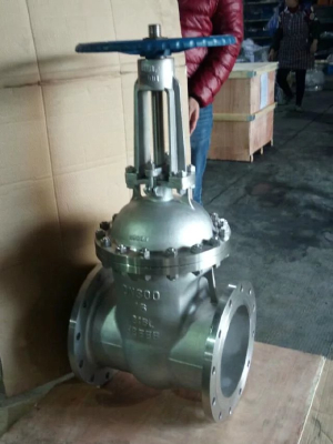 300 gate valve