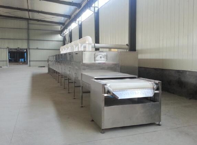 Microwave drying and sterilizing equipment