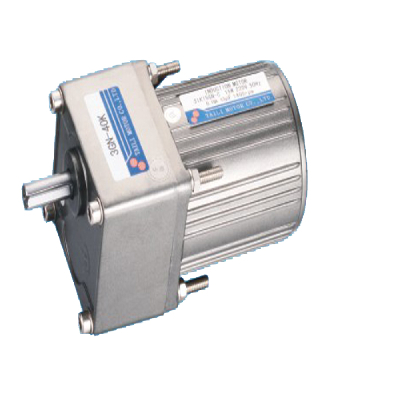 110V/220V 6W  Induction AC Gear Motor