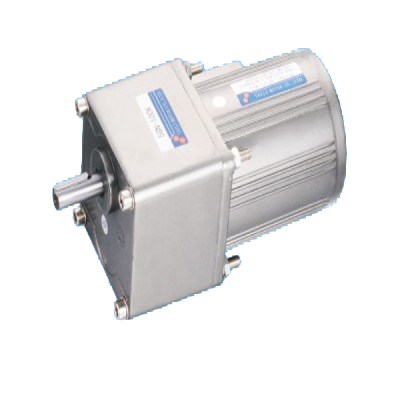 110V/220V 40W  Induction AC Gear Motor